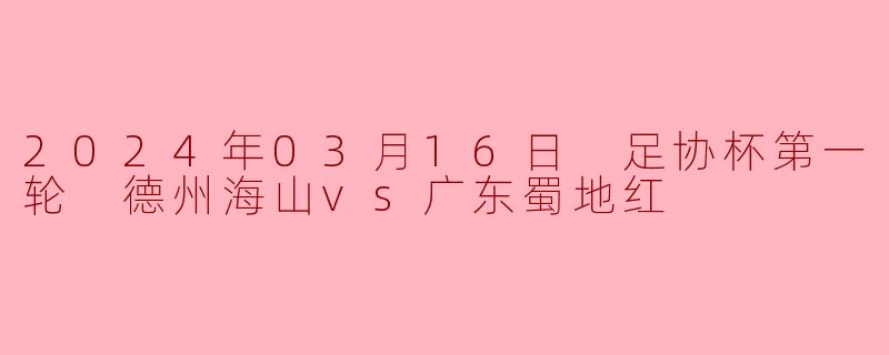 2024年03月16日 足协杯第一轮 德州海山vs广东蜀地红